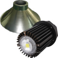 Luz de LED de alta potência (EW-BL100W)